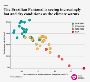 A scatter plot showing temperature and rainfall in the Brazilian Pantanal over time. The graph shows that since 1979, rainfall is decreasing as temperatures increase.